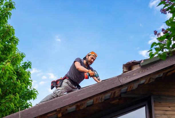 Les toitures végétalisées, également connues sous le nom de toits verts, gagnent en popularité en tant que solution écologique et esthétique
